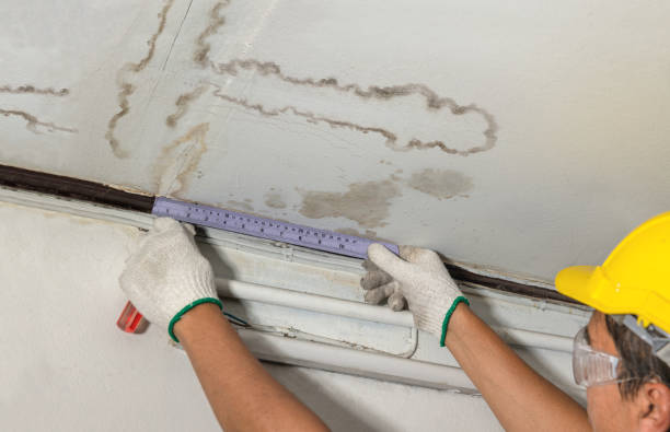 Reliable Emergency Water Damage Restoration contractor in Rahway, NJ by Water Damage Irwin
